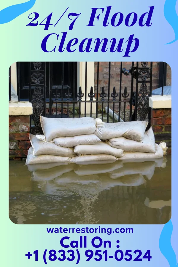 24/7 Flood Cleanup in Dyckesville, WI