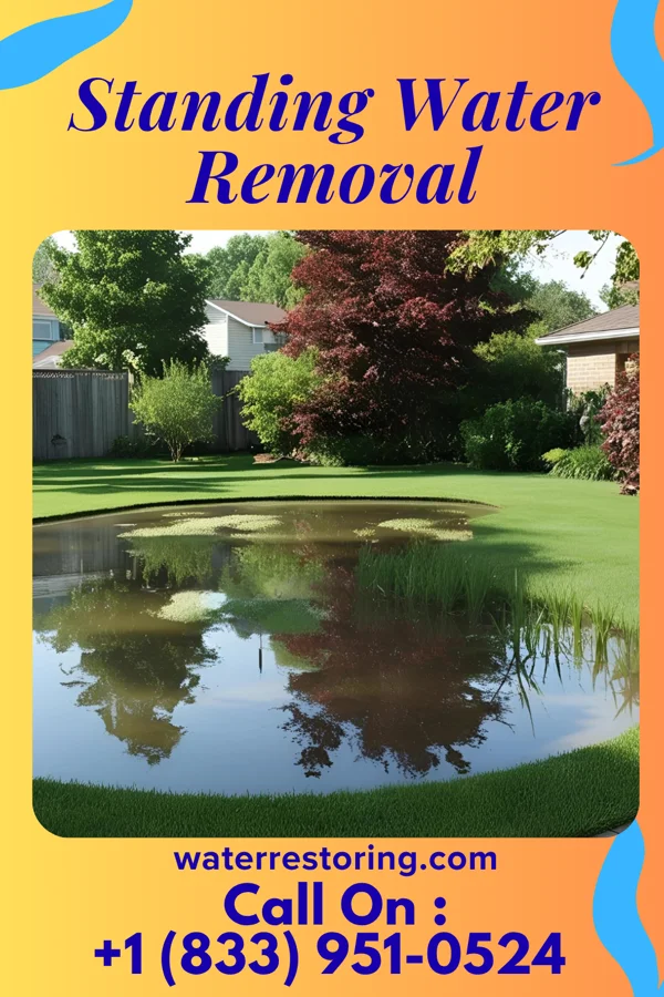 Standing Water Removal in Dyckesville, WI
